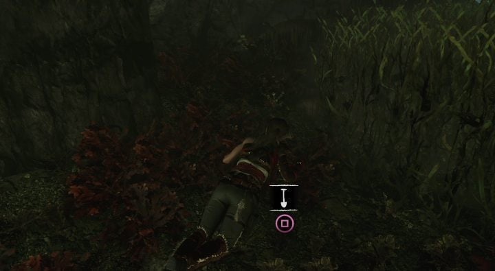 Underwater, in the Temple of Life, you can find the hideout number 13 - Treasures, Relics, and Documents in Kuwaq Yaku | Secrets in SotTR - Kuwaq Yaku - Shadow of the Tomb Raider Game Guide