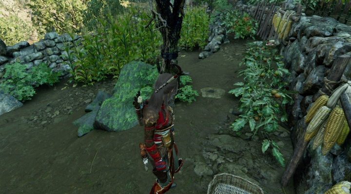 The eleventh cache (11) is in a cornfield - Chests and survivalist cache in The Hidden City | Secrets in SotTR - The Hidden City - Shadow of the Tomb Raider Game Guide
