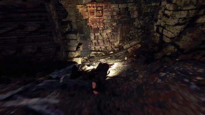 Go further and stay near the left wall - Kuwaq Yaku in Shadow of the Tomb Raider Game - Crypts - Shadow of the Tomb Raider Game Guide