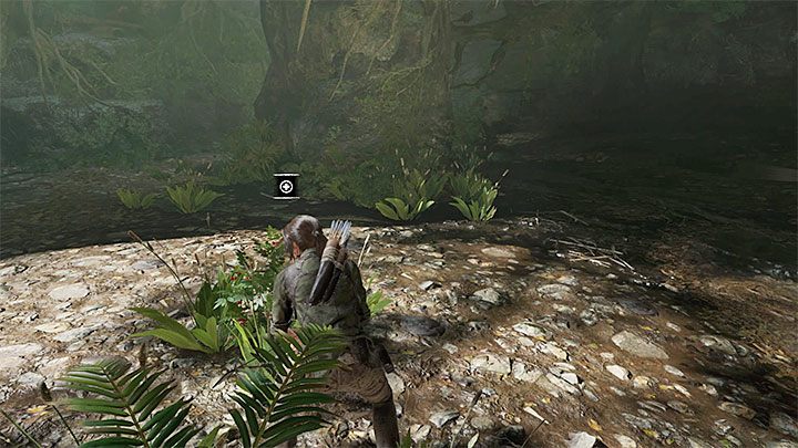 Follow the path - Fighting the jaguars and reaching Jonah in Peruvian Jungle - Rough Landing - Peruvian Jungle - Shadow of the Tomb Raider Game Guide