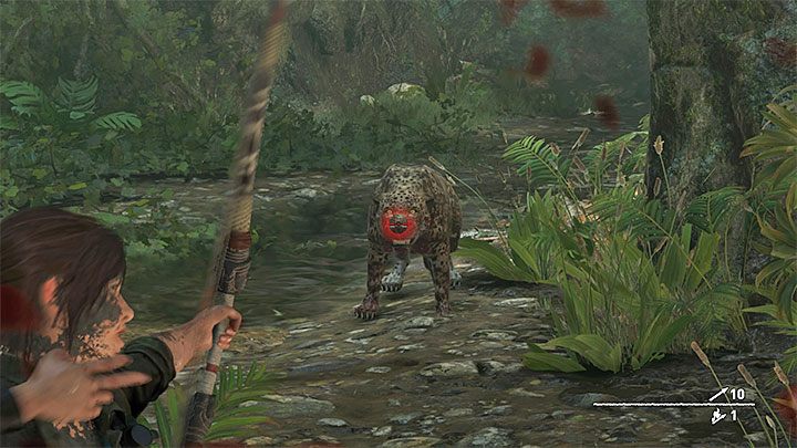 Its important to notice that in order to win the fight, you only have to kill one jaguar - Fighting the jaguars and reaching Jonah in Peruvian Jungle - Rough Landing - Peruvian Jungle - Shadow of the Tomb Raider Game Guide