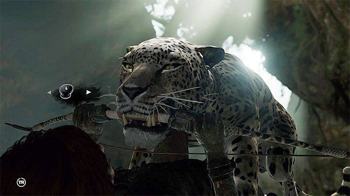 If one of the jaguars knocks you down, a QTE sequence will commence - Fighting the jaguars and reaching Jonah in Peruvian Jungle - Rough Landing - Peruvian Jungle - Shadow of the Tomb Raider Game Guide