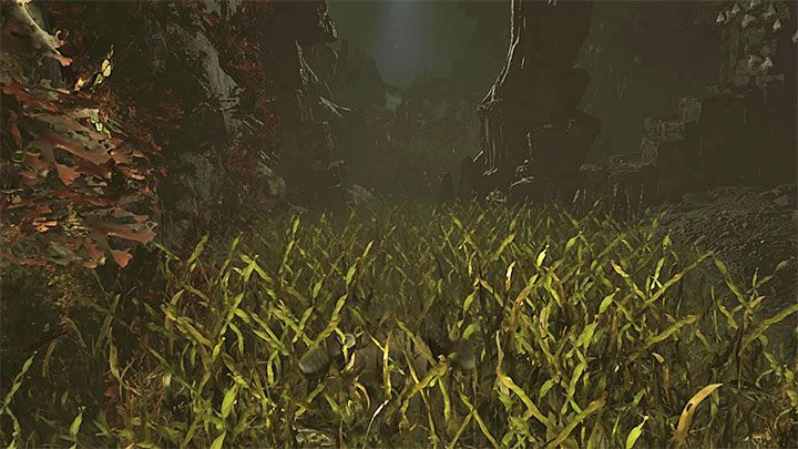 Squeeze through the damaged wall to leave the hall with the mural - Escaping the temple and returning to the Kuwaq Yaku - Path of the Dead - Kuwaq Yaku - Shadow of the Tomb Raider Game Guide