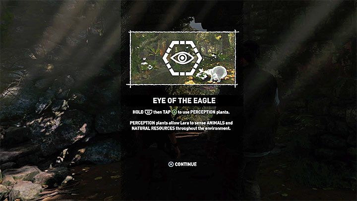 Type of trophy: bronze - Trophy guide to Shadow of the Tomb Raider - Trophy Guide - Shadow of the Tomb Raider Game Guide