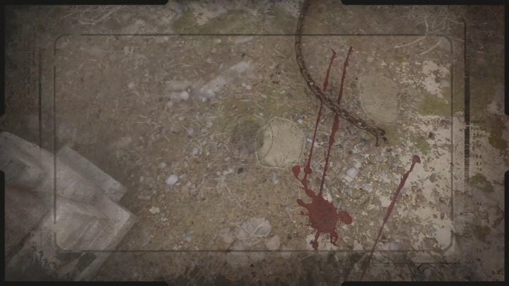 Before you leave this area, it's a good idea to take a forensic photo of the elephant's footprint and the bloodstain - Sherlock Holmes Chapter One: A Gilded Cage, the crime scene - walkthrough - A gold-plated cage - Sherlock Holmes Chapter One Guide