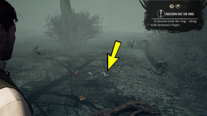 Go to the garden and pin the Raccoon Has the Ring clue - Sherlock Holmes The Awakened: Arnesons Mansion - Sherlock Holmes The Awakened: Chapter 5 - Arnesons Mansion - Sherlock Holmes The Awakened Walkthrough