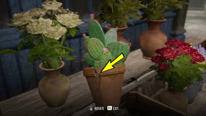 When you pick up the cactus pot, examine the spot with the missing needle - Sherlock Holmes The Awakened: Chapter 1, Barnes Bookshop - Sherlock Holmes The Awakened: Chapter 1 - Baker Street - Sherlock Holmes The Awakened Walkthrough