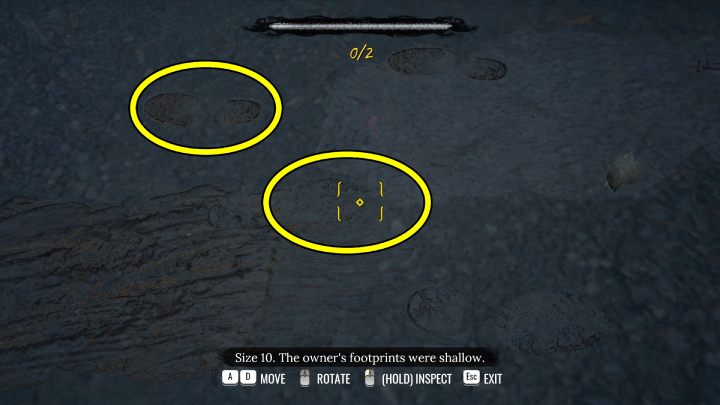 While standing before the porch, check out - Sherlock Holmes The Awakened: Garden of Arnesons Mansion - Sherlock Holmes The Awakened: Chapter 5 - Arnesons Mansion - Sherlock Holmes The Awakened Walkthrough