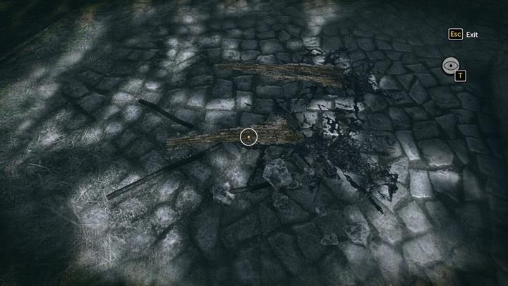 Use detective sense to discover footprints on the ground - Boules competition and evidence gathering | Walkthrough - A Study in Green | Walkthrough - Sherlock Holmes: The Devils Daughter Game Walkthrough