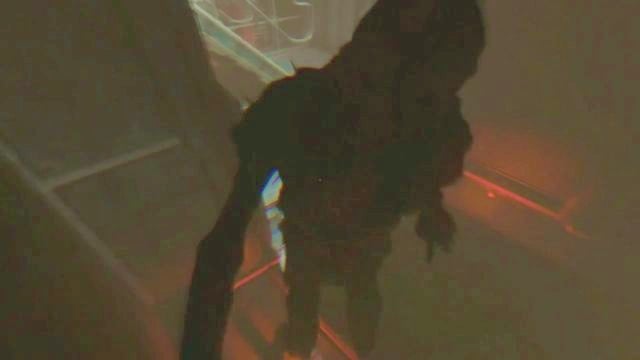 You wont be able to avoid this scene. - Theta | SOMA Game Walkthrough - Walkthrough - SOMA Guide