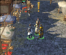 It may happen that one night is not enough for you to check all houses - Sevenkeeps (2) | Chapter: The Catapults of Underhall - Chapter: The Catapults of Underhall - Spellforce 2: Shadow Wars Game Guide