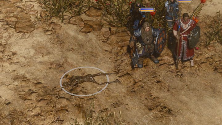 This corpse is easy to miss, but you should spare some time for it. - Aonirs Blade - Bones in the Sand | Campaign in SpellForce 3 - Campaign - SpellForce 3 Game Guide