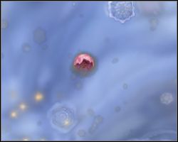 2 - First decisions and basic informations - Cell Stage - Spore - Game Guide and Walkthrough