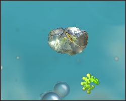 You can change kolors of your creature using the brush menu - Creating a being - Cell Stage - Spore - Game Guide and Walkthrough