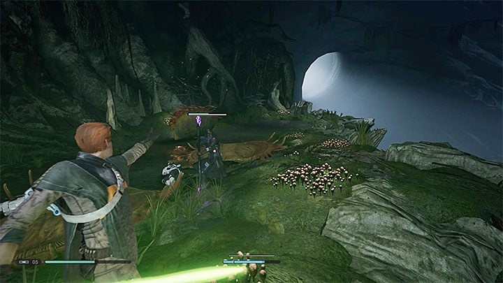 Follow the main path through the cave - it will lead you to the rope - Chapter 4 Return to Kashyyyk | Fallen Order Walkthrough - Main Story - Star Wars Jedi Fallen Order Guide