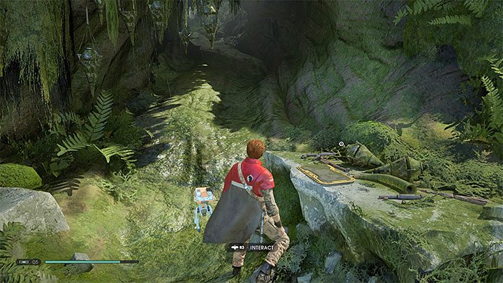 You start in the place where the main character was moved by the Shyyyo bird (Chieftains Canopy location) - Chapter 4 The Ninth Sister and leaving Kashyyyk | Fallen Order Walkthrough - Main Story - Star Wars Jedi Fallen Order Guide