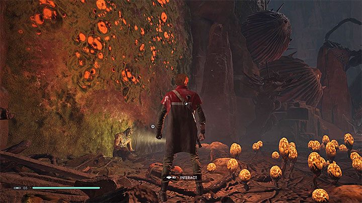 Along the way, you will pass an interactive object that can lower the rope and unlock a shortcut - Chapter 5 Dathomir | Fallen Order Walkthrough - Main Story - Star Wars Jedi Fallen Order Guide