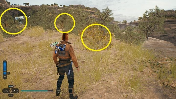 10 - Jedi Survivor: Untamed Downs - list of secrets (part 1) - Koboh - Star Wars Jedi Survivor guide