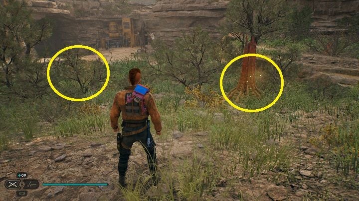 4 - Jedi Survivor: Harvest Ridge - list of secrets - Koboh - Star Wars Jedi Survivor guide