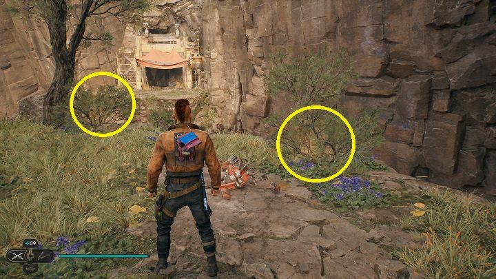 There are two plants with seeds in the area - Jedi Survivor: Devastated Settlement - list of secrets (part 2) - Koboh - Star Wars Jedi Survivor guide