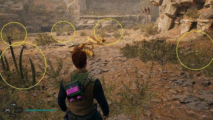 There you'll find 5 plants that can be cut down to find seeds - Jedi Survivor: Winding Ravine - list of secrets - Koboh - Star Wars Jedi Survivor guide