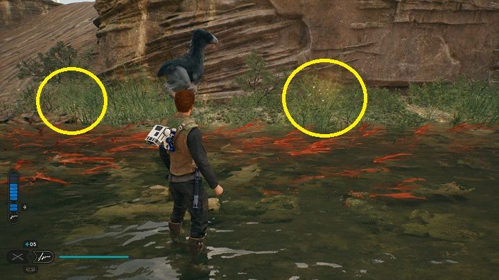 3 - Jedi Survivor: Riverbed Watch - list of secrets - Koboh - Star Wars Jedi Survivor guide