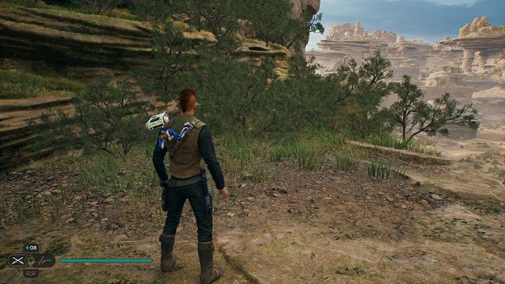 There are 4 plants of the sought type on the left from the chest - Jedi Survivor: Swindlers Wash - list of secrets - Koboh - Star Wars Jedi Survivor guide