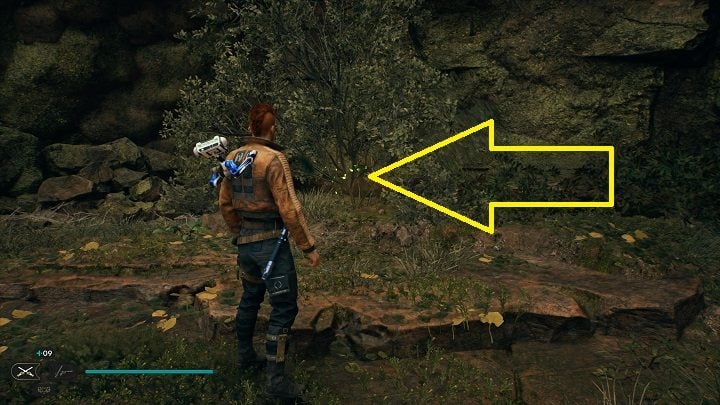 5 - Jedi Survivor: Nekko Pools - list of secrets - Koboh - Star Wars Jedi Survivor guide