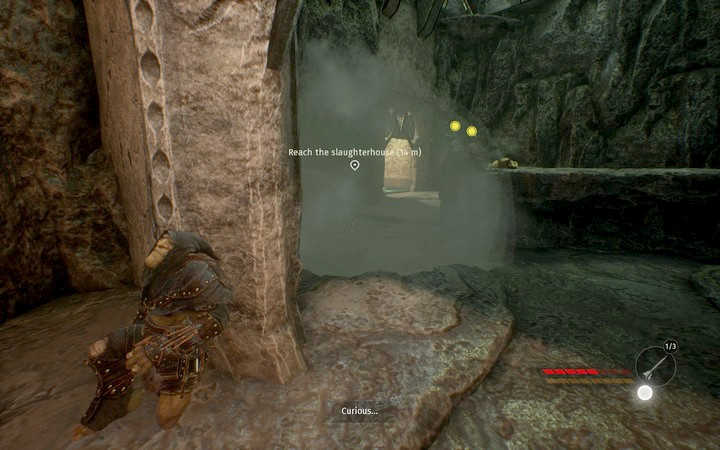 The fungi do not kill the guards, but only distract them - Goblin prison | Mission 8 - Sabotage - Mission 8 - Sabotage - Styx: Shards of Darkness Game Guide