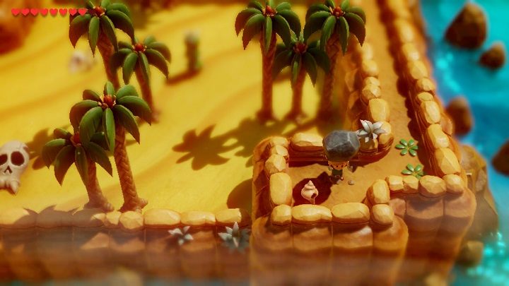 Get a hint from the Owl Statue and go down near the cacti - Anglers Tunnel | Links Awakening Walkthrough - Walkthrough - Links Awakening Guide