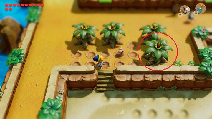 8 - Secret Seashells in Links Awakening - Collectibles - Links Awakening Guide