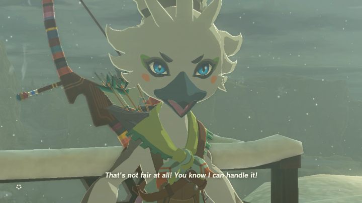 At your destination, you'll unlock a story quest - Tulin of Rito Village - Zelda TotK: Regional Phenomena - Walkthrough - Zelda Tears of the Kingdom Guide