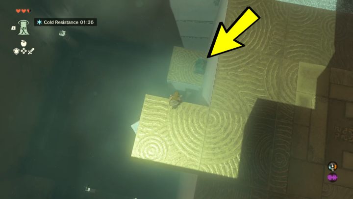 There are two ways to get to the chest - Zelda TotK: Gutanbac Shrine - Sky - Zelda Tears of the Kingdom Guide