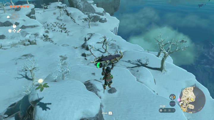 Dandelion is in the winter part of Great Sky Island - Zelda TotK: How to catch a Dandelion? - FAQ - Zelda Tears of the Kingdom Guide