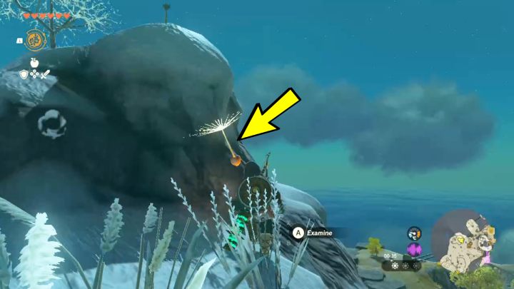 When you get there, hit the flower with your weapon and quickly jump down to the lower rock - Zelda TotK: How to catch a Dandelion? - FAQ - Zelda Tears of the Kingdom Guide