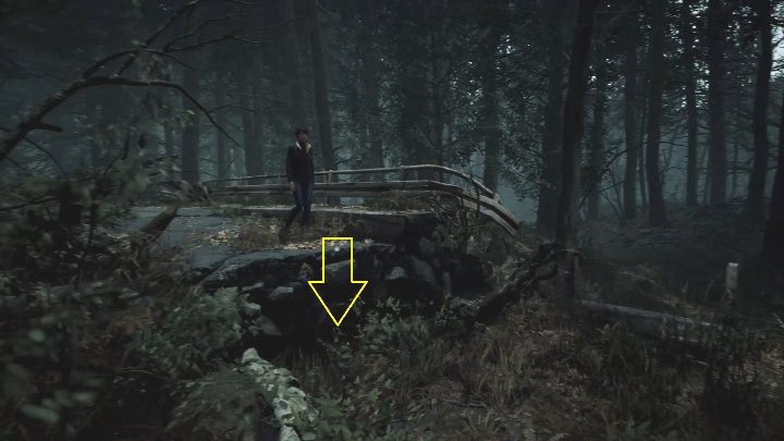 The path leading through the forest is straight and linear - The Medium: Journey to the hotel - walkthrough - Walkthrough - The Medium Guide