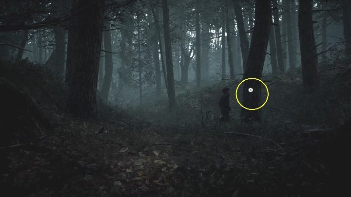 3 - The Medium: Journey to the hotel - walkthrough - Walkthrough - The Medium Guide