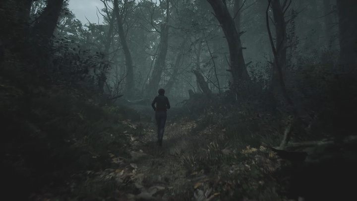 8 - The Medium: Journey to the hotel - walkthrough - Walkthrough - The Medium Guide