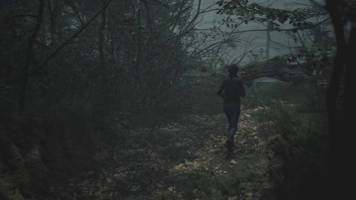 Once you get to the other side of the forest, you must again follow the tracks - The Medium: Journey to the hotel - walkthrough - Walkthrough - The Medium Guide