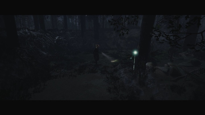 1 - The Quarry: Freakshow Fire - clues, location and list of all cards - Secrets - The Quarry - Game Guide