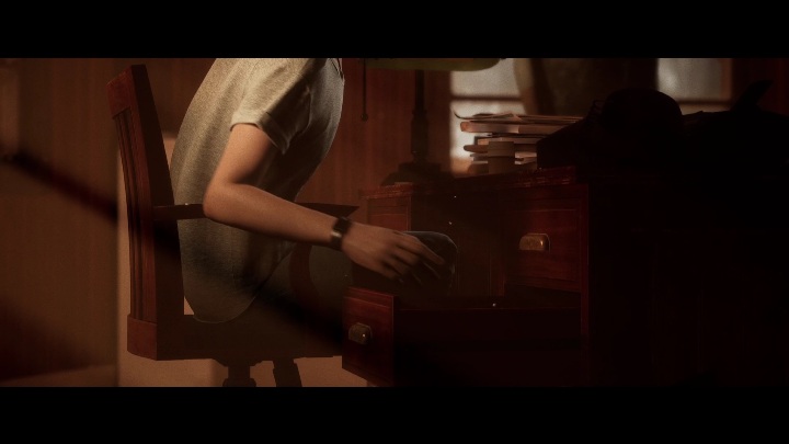 Chapter: Chapter 2 - The Quarry: Camp History - clues, location and list of all cards - Secrets - The Quarry - Game Guide