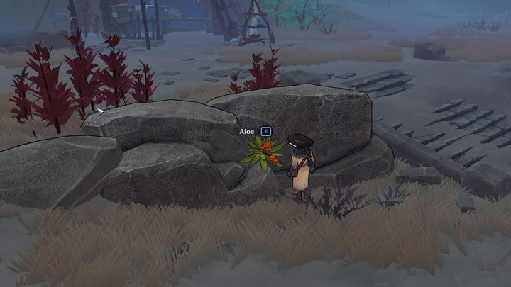 Aloe is a simple plant with healing properties that you will find at random spots along the trail - The Serpent Rogue: Ingredients for brewing potions - list - Potions - The Serpent Rogue Guide