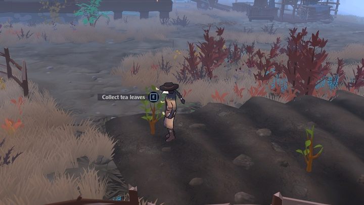 They grow on low shrubs with light green leaves - The Serpent Rogue: Ingredients for brewing potions - list - Potions - The Serpent Rogue Guide