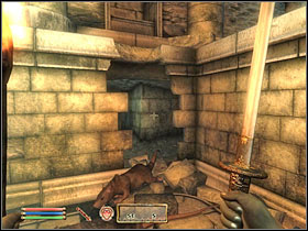 Cross the dungeon fighting those rats (one zombie will make his appearance as well) - Oblivion: Tutorial - Main quests - The Elder Scrolls IV: Oblivion Game Guide & Walkthrough