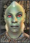 Dark Elf - Oblivion: Races - Character Creation & Development - The Elder Scrolls IV: Oblivion Game Guide & Walkthrough