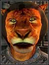 Khajiit - Oblivion: Races - Character Creation & Development - The Elder Scrolls IV: Oblivion Game Guide & Walkthrough