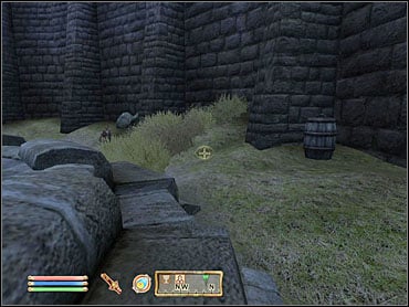 Go through the grotesquely decorated room and approach the shrine - Oblivion: Following a Lead - Dark Brotherhood - The Elder Scrolls IV: Oblivion Game Guide & Walkthrough