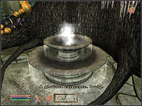 Near one of the pools youll meet either Thadon or Syl - depending on which one youve already killer when becoming a duke - Oblivion: Main Quests part 4 - Quests - The Elder Scrolls IV: Oblivion Game Guide & Walkthrough