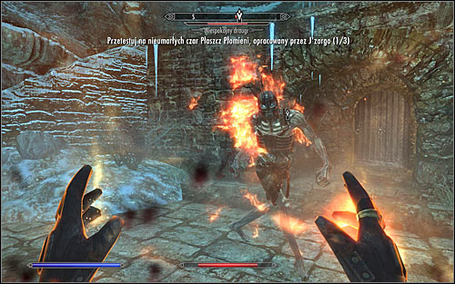 Now you just need to approach the monsters and wait for the spells effects (screen above) - JZargos Experiment - College of Winterhold quests - The Elder Scrolls V: Skyrim Game Guide