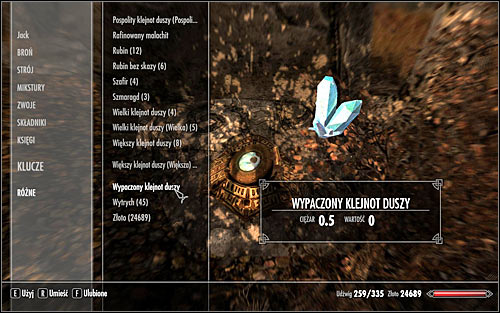 Interact with the Convector - Arniels Endeavor - p. 1 - College of Winterhold quests - The Elder Scrolls V: Skyrim Game Guide